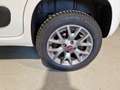 Fiat Panda 1.3mjt 80cv 4x4 AUTOCARRO 2 POSTI Blanco - thumbnail 17