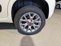 Fiat Panda 1.3mjt 80cv 4x4 AUTOCARRO 2 POSTI Bianco - thumbnail 15