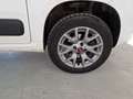 Fiat Panda 1.3mjt 80cv 4x4 AUTOCARRO 2 POSTI Bianco - thumbnail 14