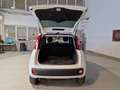 Fiat Panda 1.3mjt 80cv 4x4 AUTOCARRO 2 POSTI Bianco - thumbnail 6