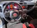 Fiat Panda 1.3mjt 80cv 4x4 AUTOCARRO 2 POSTI Bianco - thumbnail 8