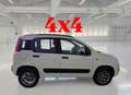 Fiat Panda 1.3mjt 80cv 4x4 AUTOCARRO 2 POSTI Bianco - thumbnail 2