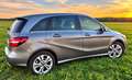 Mercedes-Benz B 200 B 200 d 4MATIC Aut. Grau - thumbnail 4