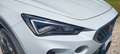 CUPRA Formentor Formentor 2.0 tdi 4drive 150cv dsg Blanco - thumbnail 24