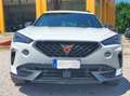 CUPRA Formentor Formentor 2.0 tdi 4drive 150cv dsg Blanco - thumbnail 26