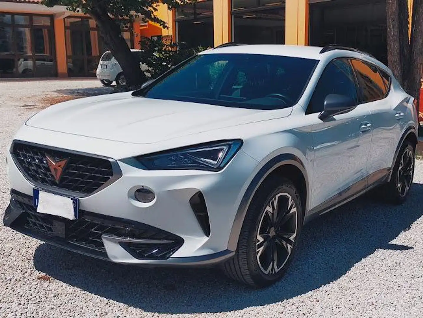 CUPRA Formentor Formentor 2.0 tdi 4drive 150cv dsg Bianco - 1
