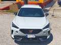 CUPRA Formentor Formentor 2.0 tdi 4drive 150cv dsg Blanco - thumbnail 25