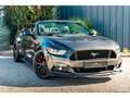 Ford Mustang 5.0L v8 GT Cabriolet 421 ch Boite Automatique Gris - thumbnail 10