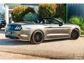 Ford Mustang 5.0L v8 GT Cabriolet 421 ch Boite Automatique Gris - thumbnail 14