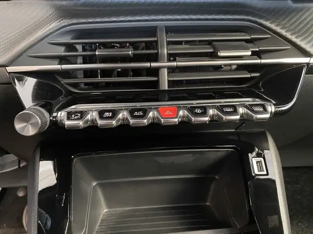 Peugeot 2008 view 11