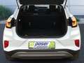 Ford Puma Titanium KLIMA LED ALU Blanc - thumbnail 7
