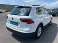 Volkswagen Tiguan Comfortline TSI ACT OPF DSG Weiß - thumbnail 6