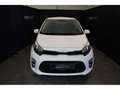 Kia Picanto Pulse Blanc - thumbnail 13
