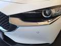 Mazda CX-30 2.5 e-Skyactiv-G Centre Line FWD 103kW Blanco - thumbnail 21