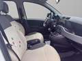 Fiat Panda 1.3 MJT 16V Classic Blanc - thumbnail 10