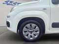 Fiat Panda 1.3 MJT 16V Classic Blanc - thumbnail 6