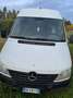 Mercedes-Benz Sprinter Bianco - thumbnail 5