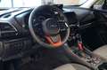 Subaru Forester Edition Exclusive Cross Kamera*DAB*Abst Сірий - thumbnail 13