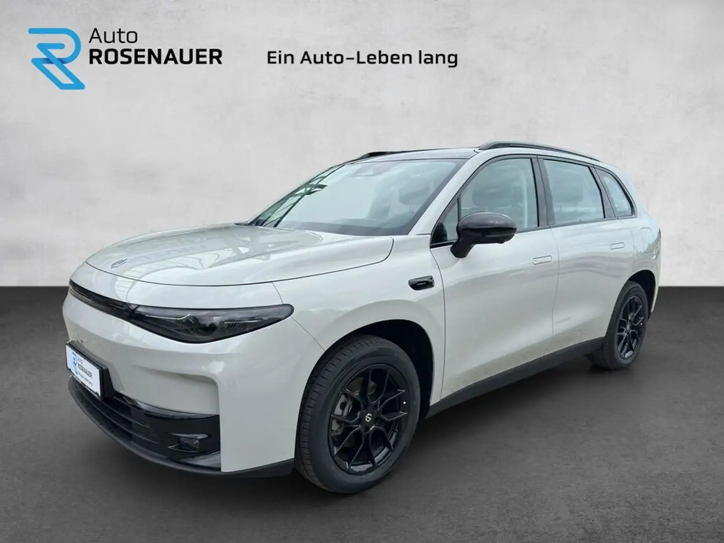 Leapmotor C10 C10 Elektro 70kWh Style ! 25% Nachlass ! Gris - 1
