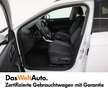 Volkswagen Taigo Life TSI Bianco - thumbnail 9