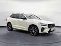 Volvo XC60 XC60 B4 automatico Plus Dark PRONTA CONSEGNA Wit - thumbnail 3