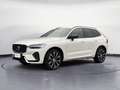 Volvo XC60 XC60 B4 automatico Plus Dark PRONTA CONSEGNA Wit - thumbnail 1