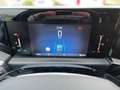 Ford Tourneo Custom L1 Titanium 5J.*Gar.+Pano+LEDER+ Gris - thumbnail 16