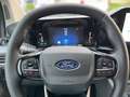 Ford Tourneo Custom L1 Titanium 5J.*Gar.+Pano+LEDER+ Grigio - thumbnail 17