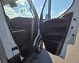 Iveco Daily 35 C 18 AV 3000 HD 3,0 HPI Aut. - thumbnail 10