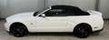 Ford Mustang GT V8 Cabrio, R-Kamera, wenig KM - thumbnail 7