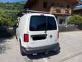 Volkswagen Caddy Caddy Kombi 2,0 TDI 4MOTION Weiß - thumbnail 7