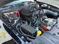 Ford Mustang V6 3,7L PREMIUM - 17900 KM BV6 Schwarz - thumbnail 19