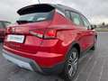 SEAT Arona Arona 1.6 tdi Xcellence 95cv Rosso - thumbnail 4
