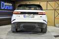 Land Rover Range Rover Velar 2.0D I4 MHEV S 4WD Aut. 204 - thumbnail 12
