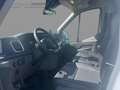 Ford Transit Pritsche 2.0 TDCi350L3EinzelkabineTrend Bianco - thumbnail 9