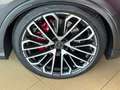 Audi Q7 50 TDI quattro S line Grau - thumbnail 15