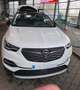 Opel Grandland X Grandland X 1.2 Start/Stop AutomatikUltimate Weiß - thumbnail 1