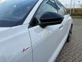 Audi A5 2.0 TFSI 2x S line 360° side assist Weiß - thumbnail 22