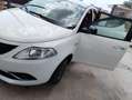 Lancia Ypsilon 1.3 mjt Silver s&s 95cv E5+ - thumbnail 10