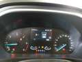Ford Focus WAGON 1.5 Ecoblue 120cv Business Co-Pilot Auto - thumbnail 8
