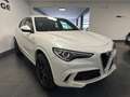 Alfa Romeo Stelvio STELVIO 2.9 BI-TURBO 510CV QUADRIFOGLIO Q4 Blanc - thumbnail 5