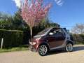 smart forTwo cabrio softtouch sunray - thumbnail 1