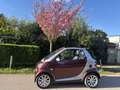 smart forTwo cabrio softtouch sunray - thumbnail 2
