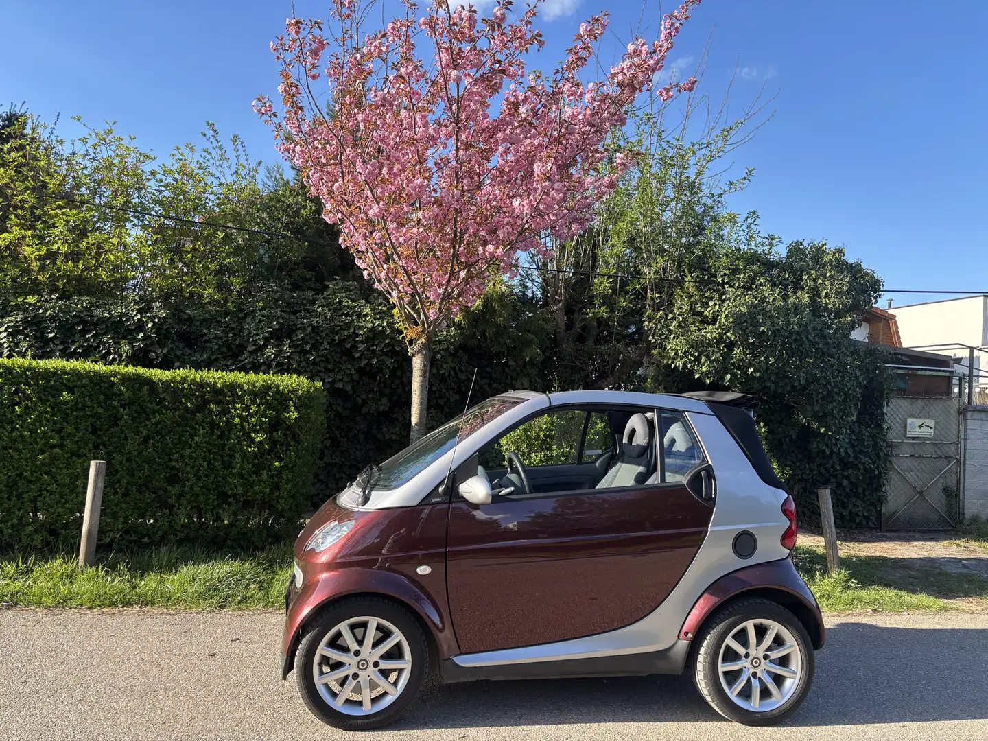 smart forTwo cabrio softtouch sunray - 2