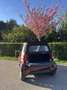 smart forTwo cabrio softtouch sunray - thumbnail 5
