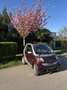 smart forTwo cabrio softtouch sunray - thumbnail 3