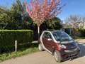smart forTwo cabrio softtouch sunray - thumbnail 4