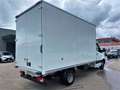 Mercedes-Benz Sprinter T43/35 514 Cabinato Furgonato CDI Bianco - thumbnail 6