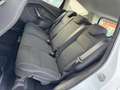 Ford Kuga Kuga 1.5 TDCI 120 CV S&S 2WD Plus Weiß - thumbnail 11