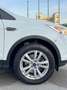 Ford Kuga Kuga 1.5 TDCI 120 CV S&S 2WD Plus Weiß - thumbnail 17